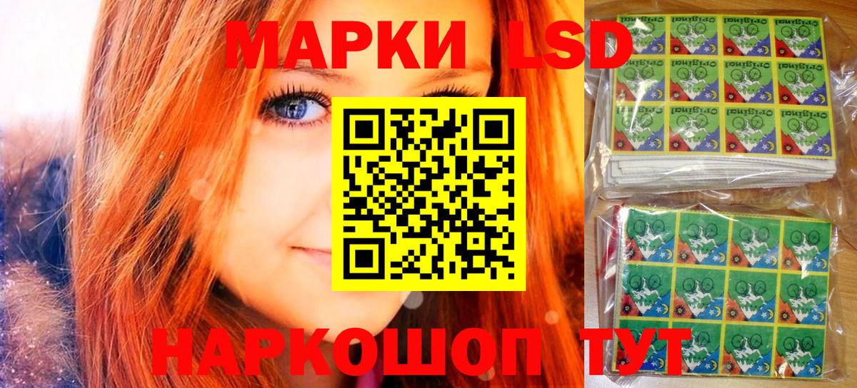 МЕФ Каменка
