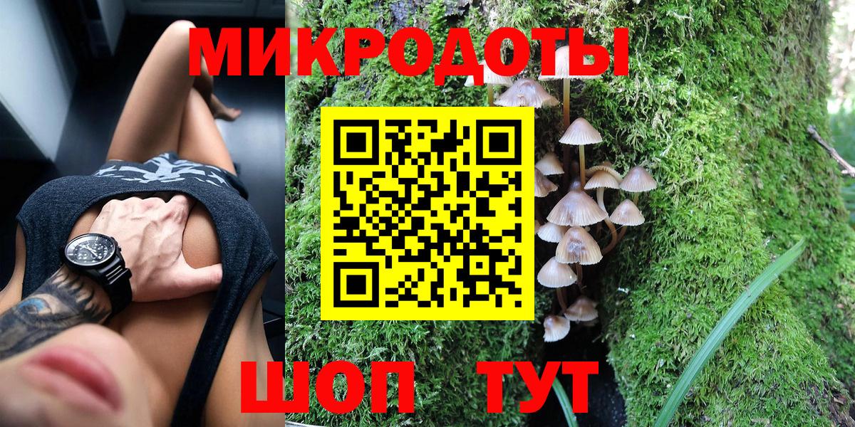 Галлюциногенные грибы Cubensis  где продают   Вход с VPN  Каменка  Псилоцибиновые грибы Psilocybe 
