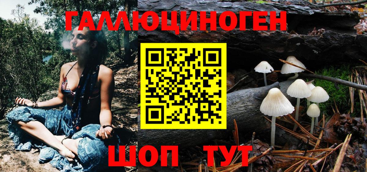 Псилоцибиновые грибы Psilocybine cubensis Каменка